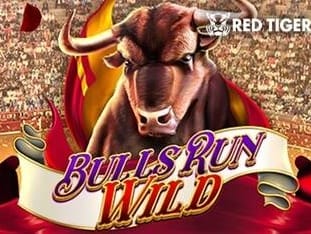 Bulls Run Wild screenshot